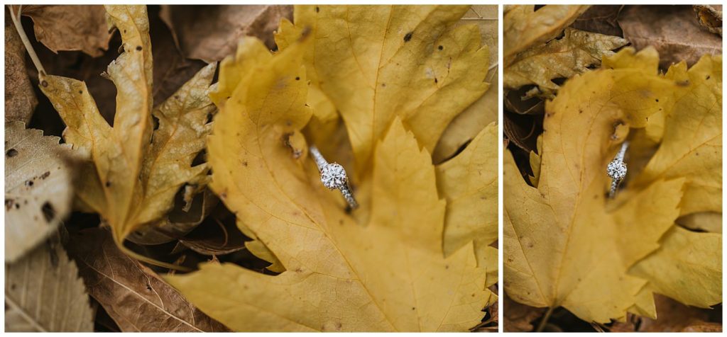 close up of a beautiful engagement ring in a leaf
